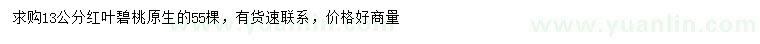 求購13公分紅葉碧桃