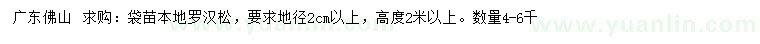 求購地徑2公分以上羅漢松