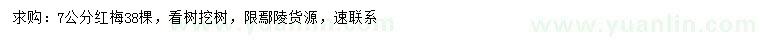 求購7公分紅梅