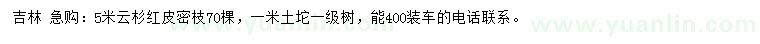 求購5米紅皮密枝云杉