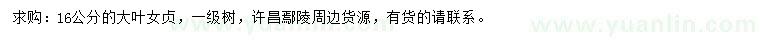 求購16公分大葉女貞