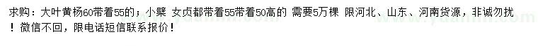 求購大葉黃楊、小檗、女貞