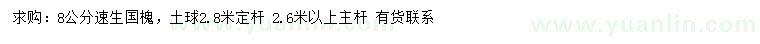 求購(gòu)8公分速生國(guó)槐