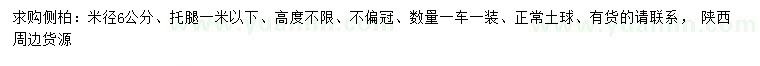 求購米徑6公分側(cè)柏