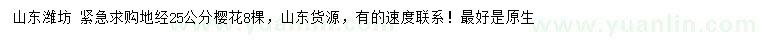 求購地徑25公分櫻花