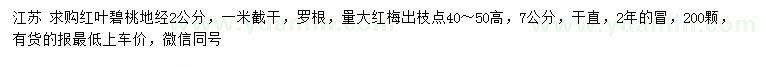 求購地徑2公分紅葉碧桃、7公分紅梅