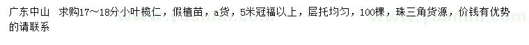 求購17-18公分小葉欖仁