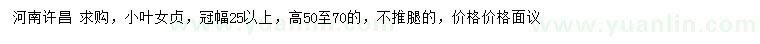 求購冠幅25公分以上小葉女貞