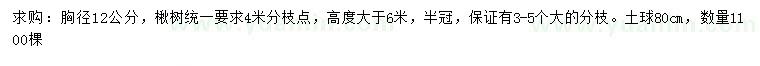 求購胸徑12公分楸樹