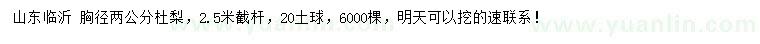 求購(gòu)胸徑2公分杜梨