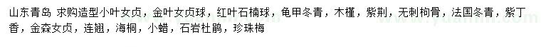 求購小葉女貞、金葉女貞球、紅葉石楠球等