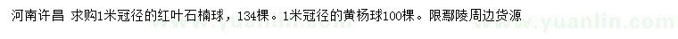求購冠徑1米紅葉石楠球、黃楊球