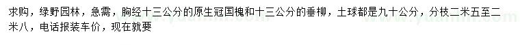 求購胸徑13公分國槐、垂柳