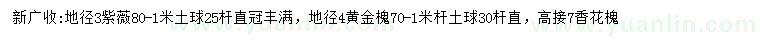 求購紫薇、黃金槐、香花槐