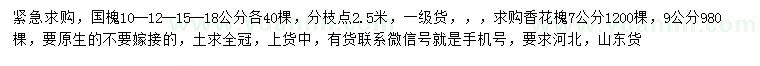 求購10、12、15、18公分國槐、7、9公分香花槐