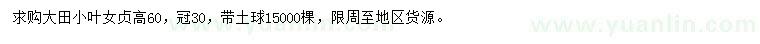 求購高60公分小葉女貞
