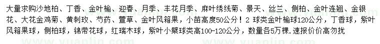 求購(gòu)沙地柏、丁香、金葉榆等