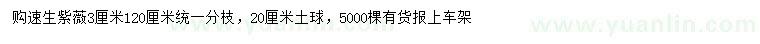 求購3公分速生紫薇