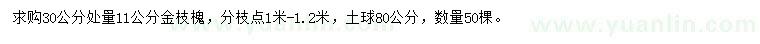 求購11公分金枝槐