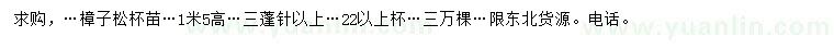 求購高1.5米樟子松