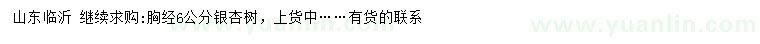 求購(gòu)胸徑6公分銀杏樹