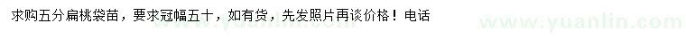 求購(gòu)5公分扁桃