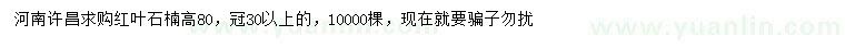 求購(gòu)高80公分紅葉石楠