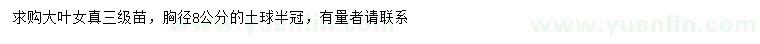 求購胸徑8公分大葉女貞