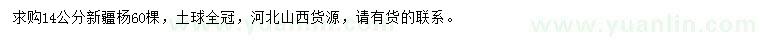 求購14公分新疆楊
