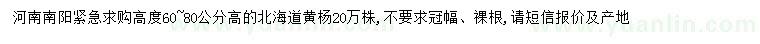 求購(gòu)高60-80公分北海道黃