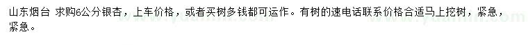 求購6公分銀杏
