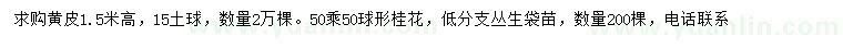 求購高1.5米黃皮、50*50桂花