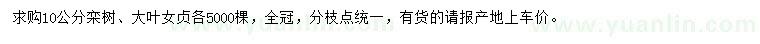 求購10公分欒樹、大葉女貞