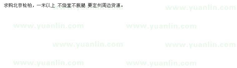 求購1米以上北京檜柏