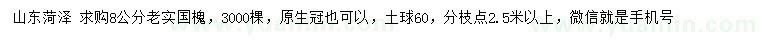 求購8公分老實國槐