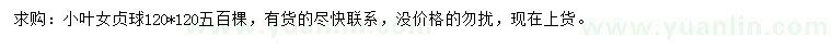 求購120*120小葉女貞球