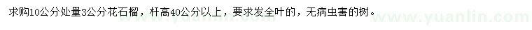 求購10公分處量3公分花石榴