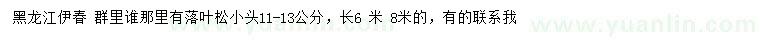 求購小頭11-13公分落葉松