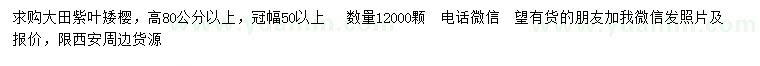 求購高80公分以上紫葉矮櫻