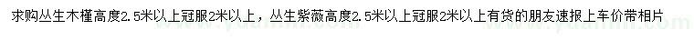 求購高2.5米以上叢生木槿、叢生紫薇