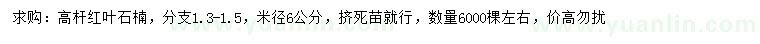 求購6公分高桿紅葉石楠