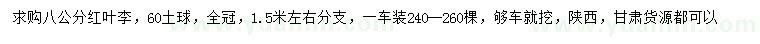 求購8公分紅葉李
