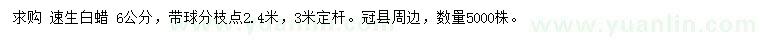 求購6公分速生白蠟
