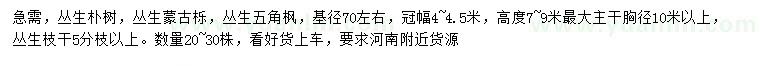 求購叢生樸樹、叢生蒙古櫟、叢生五角楓