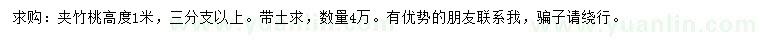 求購(gòu)高1米夾竹桃