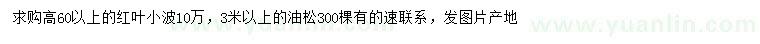 求購高60公分以上紅葉小檗、3米以上油松
