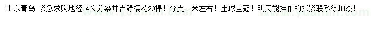 求購地徑14公分染井吉野櫻花