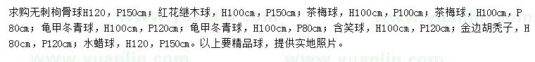 求購無刺枸骨球、紅花繼木球、茶梅球等