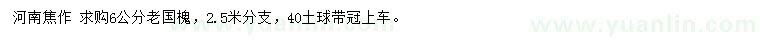 求購6公分老國槐