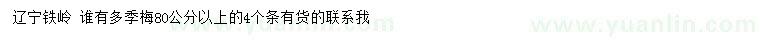 求購(gòu)80公分以上多季梅